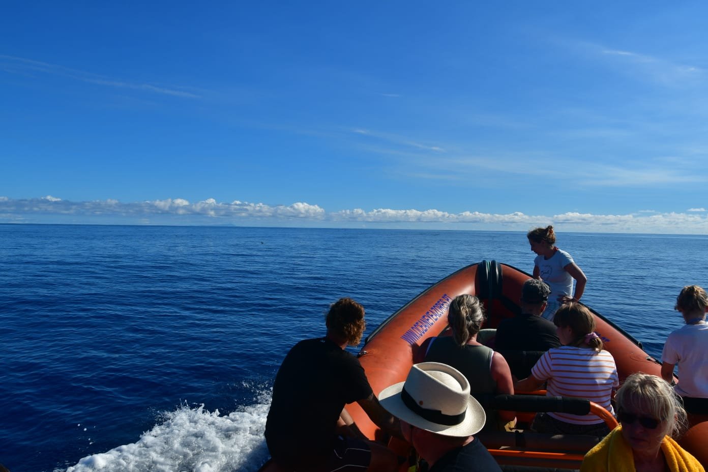 whale_watching_boat_oceaneye_azores