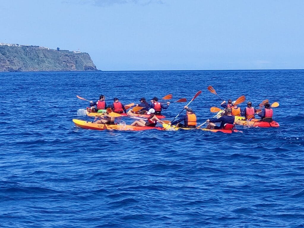 kayak tour em vila franca campo